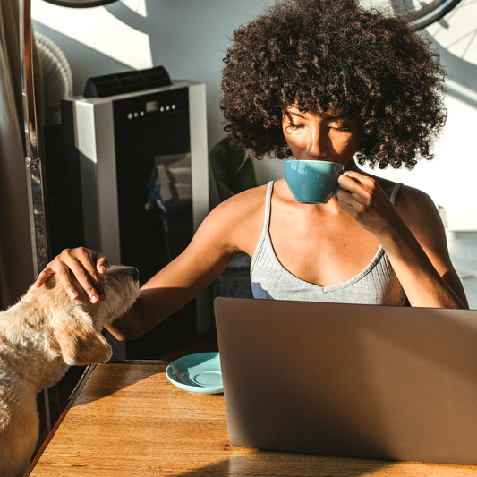 3 pasos para organizar tu día y sentirte más productiva